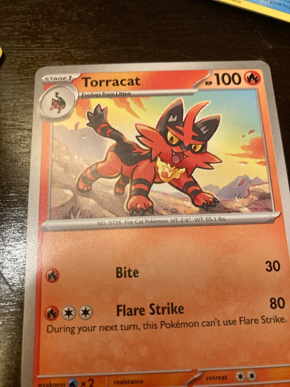 Pokemon Torracat Trading Card - Red Orange Artwork